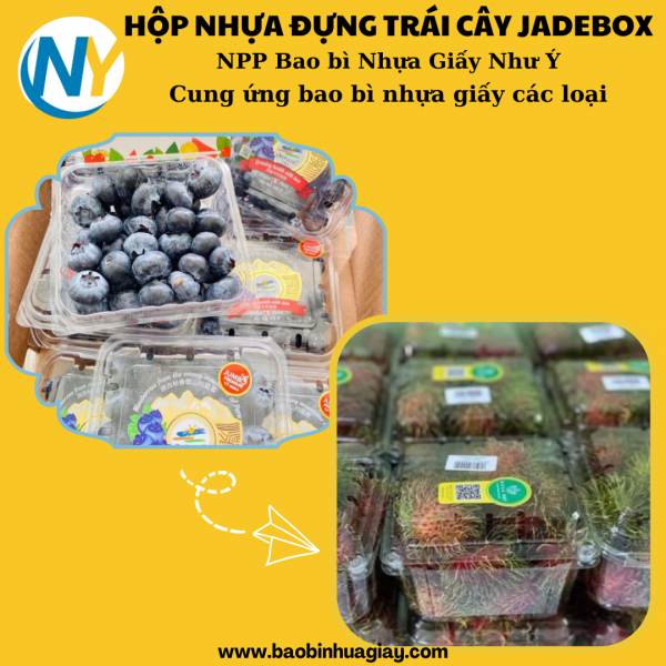 Hộp nhựa PET đựng trái cây P500A (JB-500 cái/thùng)